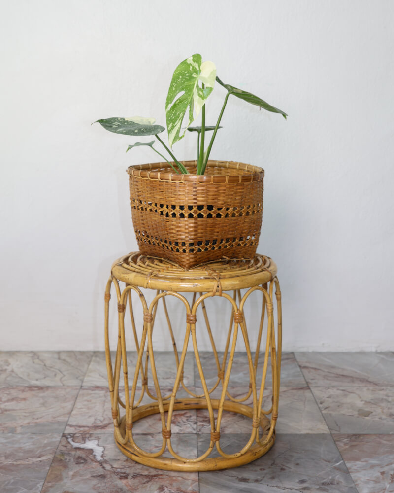 สตูล หวายแท้ PISAMAI รุ่น SLIM STOOL สไตล์ TROPICAL ขนาด 35*35*40 ซม. สีธรรมชาติ_6